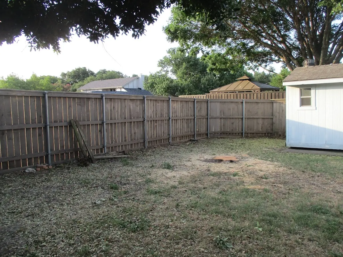 Cleared yard after professional tree removal in Cherryville